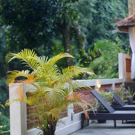 Hanaka Riverside Ubud Extérieur photo