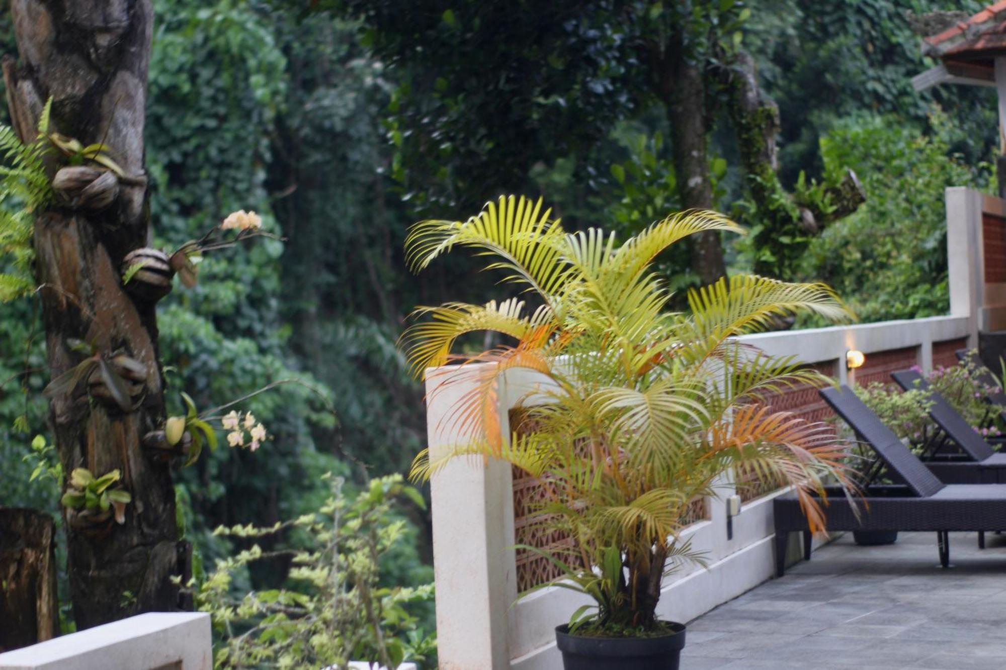 Hanaka Riverside Ubud Extérieur photo