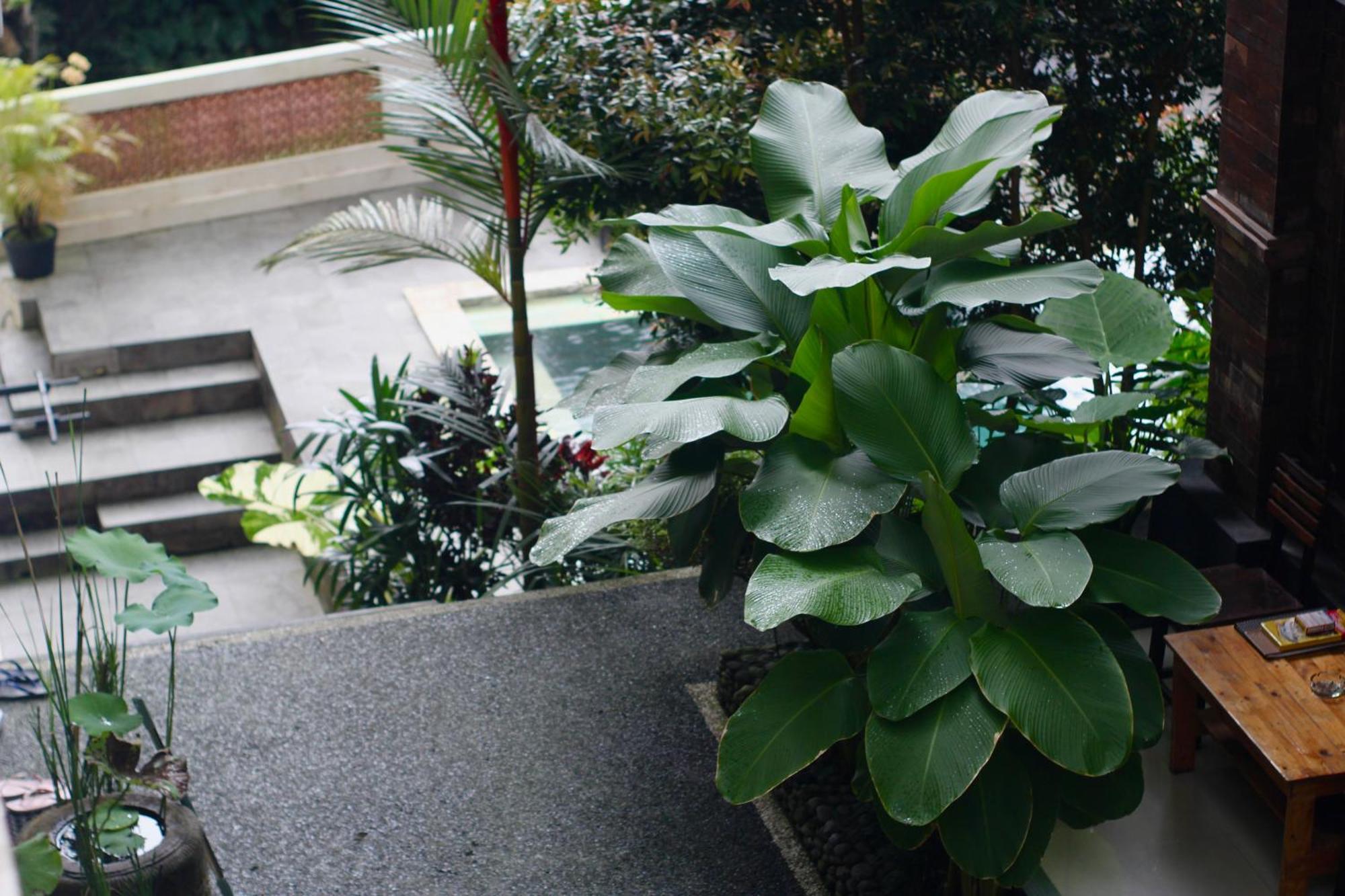 Hanaka Riverside Ubud Extérieur photo
