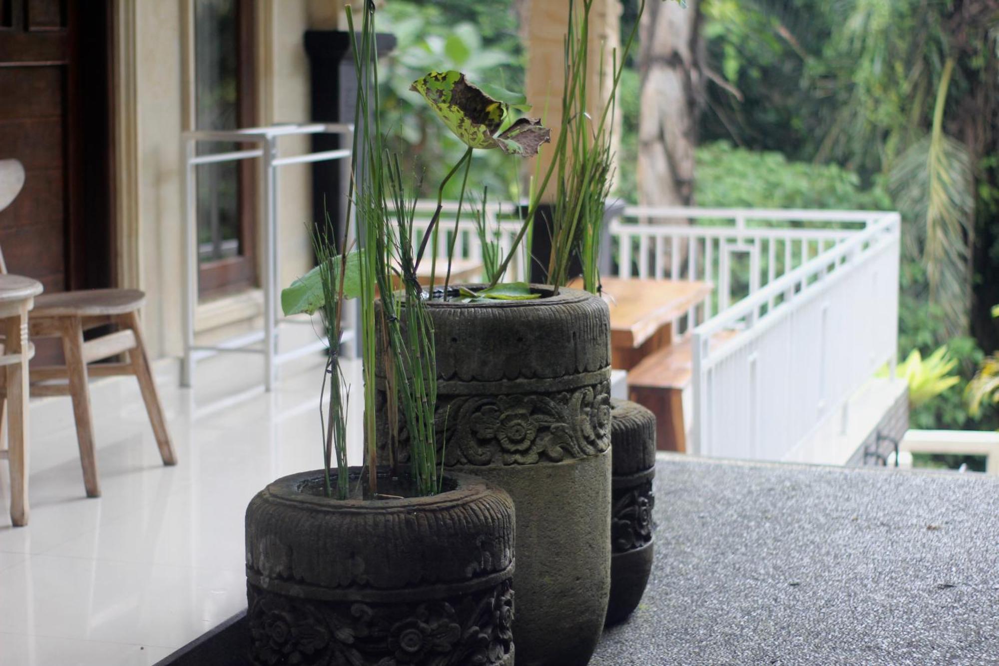 Hanaka Riverside Ubud Extérieur photo