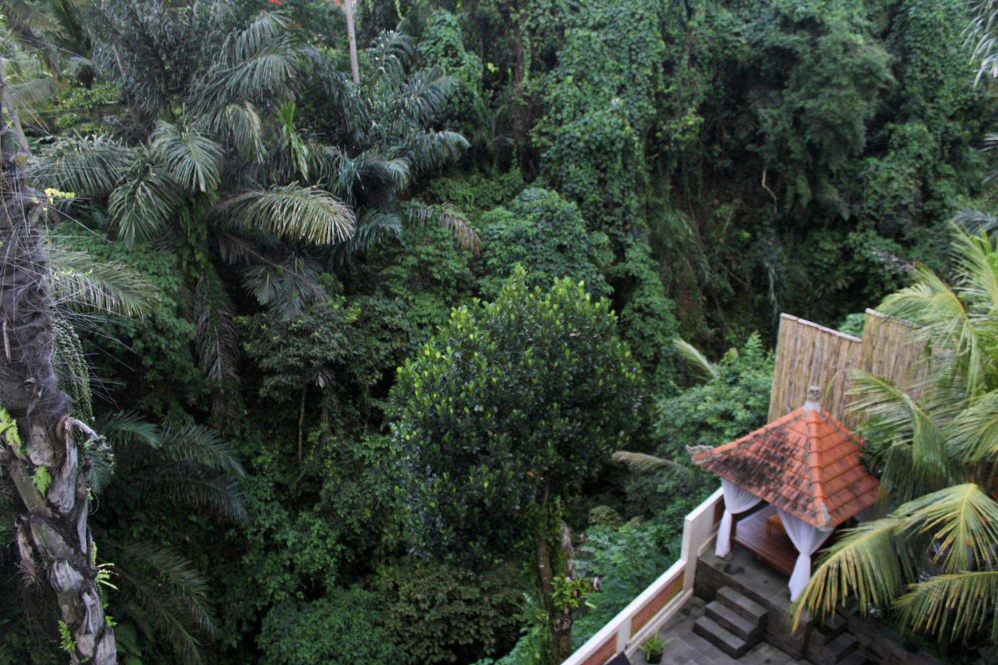 Hanaka Riverside Ubud Extérieur photo