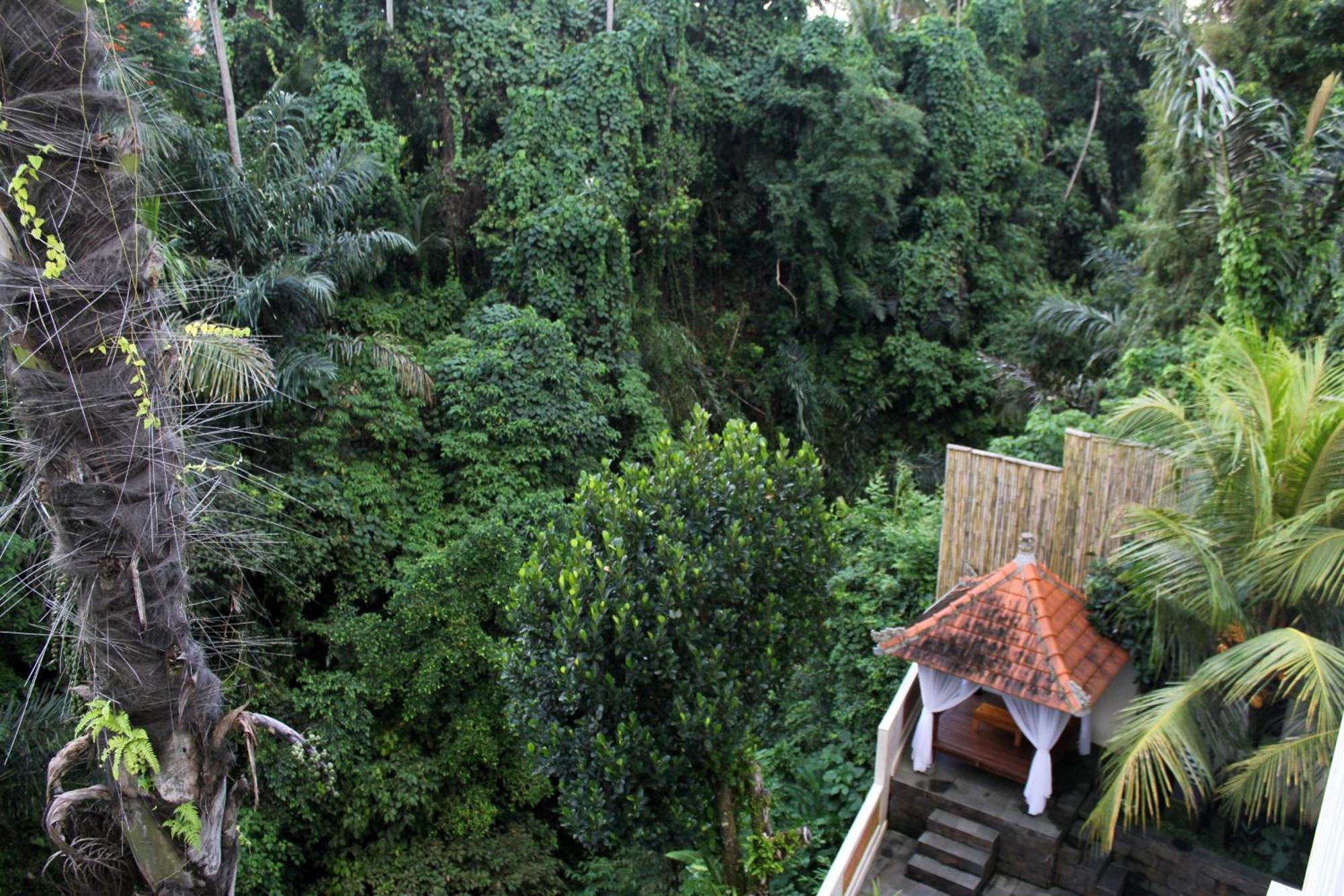 Hanaka Riverside Ubud Extérieur photo